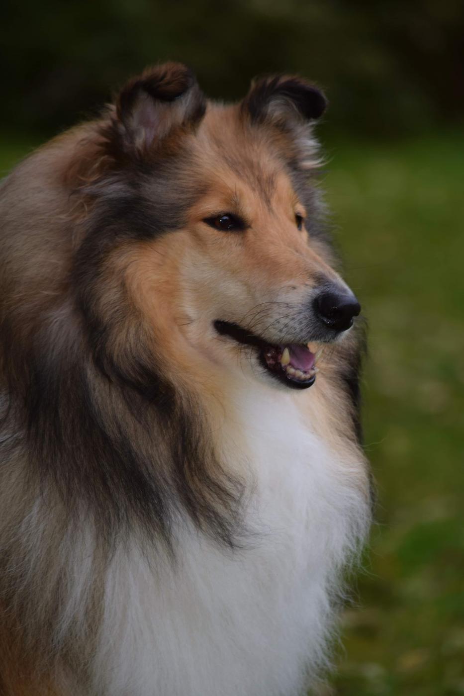 Molla 4 vuotta Molla 4 vuotta